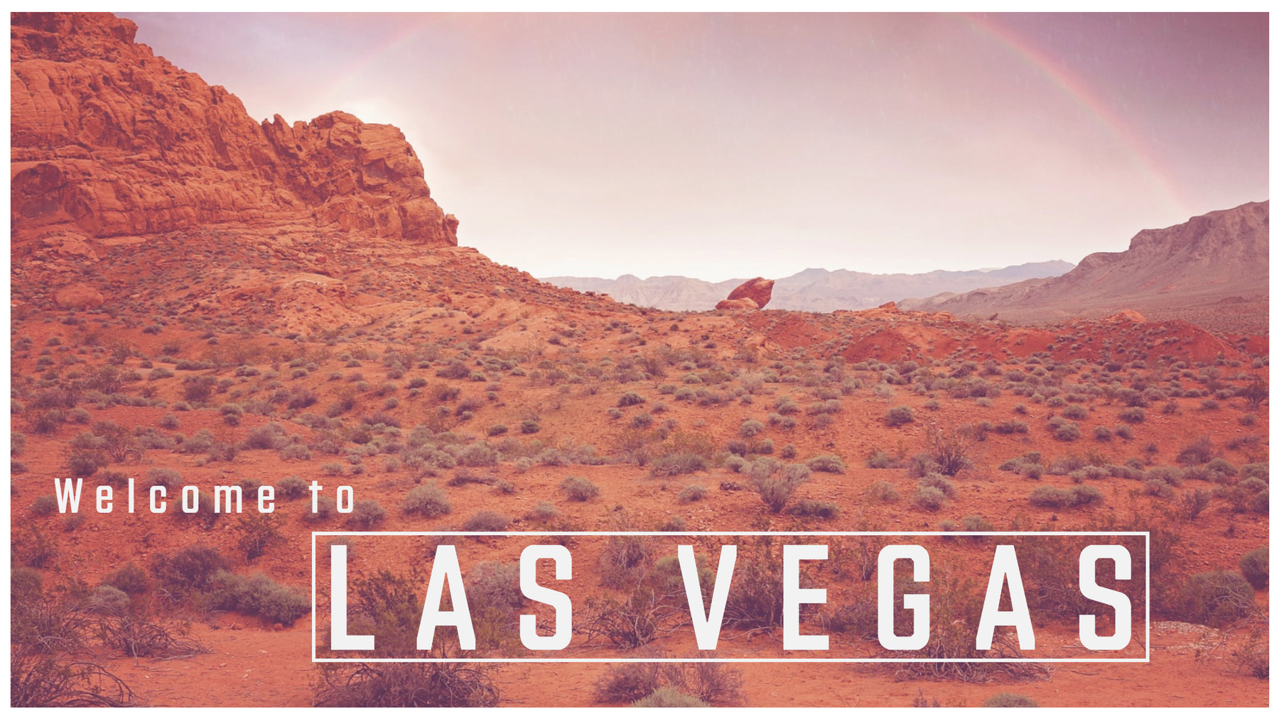 Sliding into Sin City- Your Desert Move & Furniture Guide