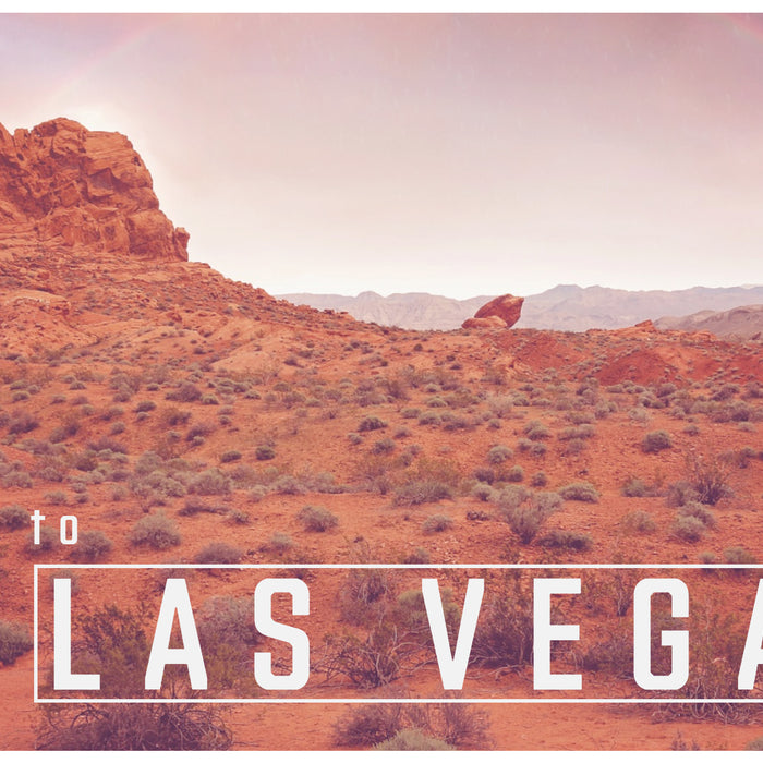 Sliding into Sin City- Your Desert Move & Furniture Guide