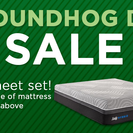 Groundhog's Day Sale!