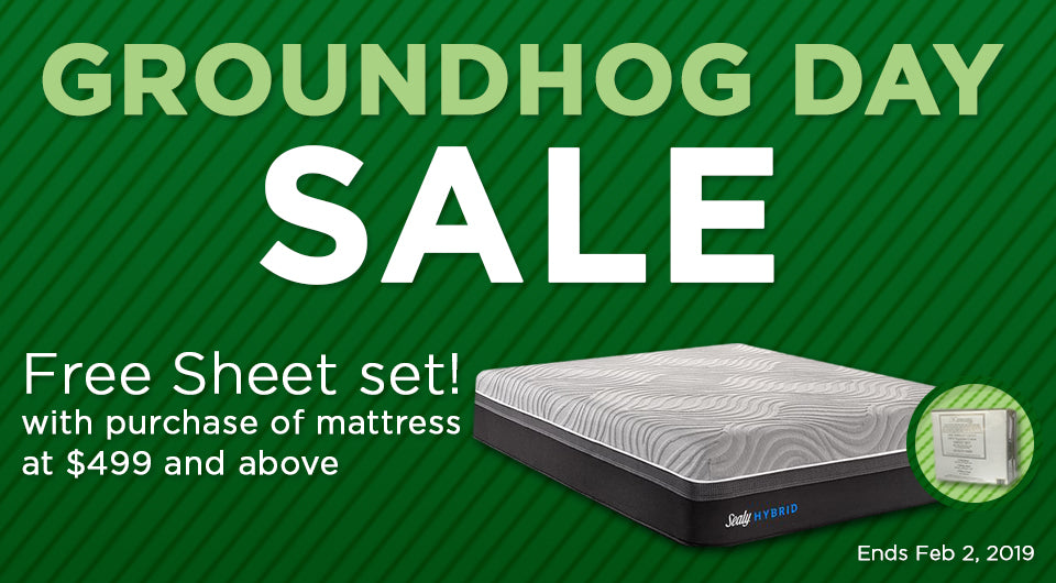 Groundhog's Day Sale!