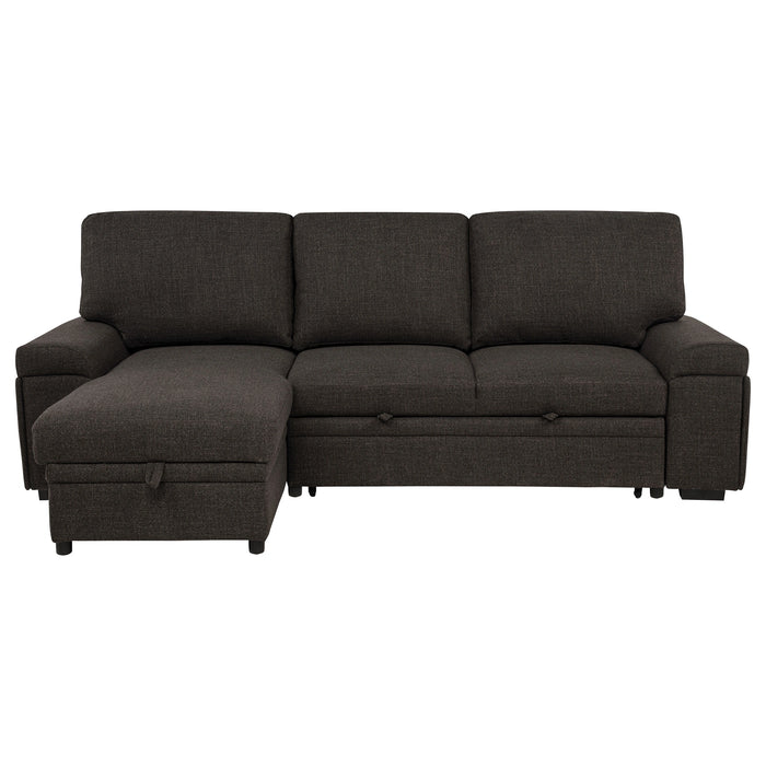 Demko Sleeper Sectional Sofa