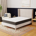 Bedplanet 10" Rose Medium Mattress