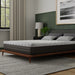 Bedplanet 10” Essentials Comfort Reactive Medium Mattress