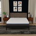Bedplanet 12" Gel Plush Memory Foam Mattress