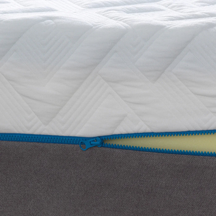 Bedplanet 12" Gel Plush Memory Foam Mattress