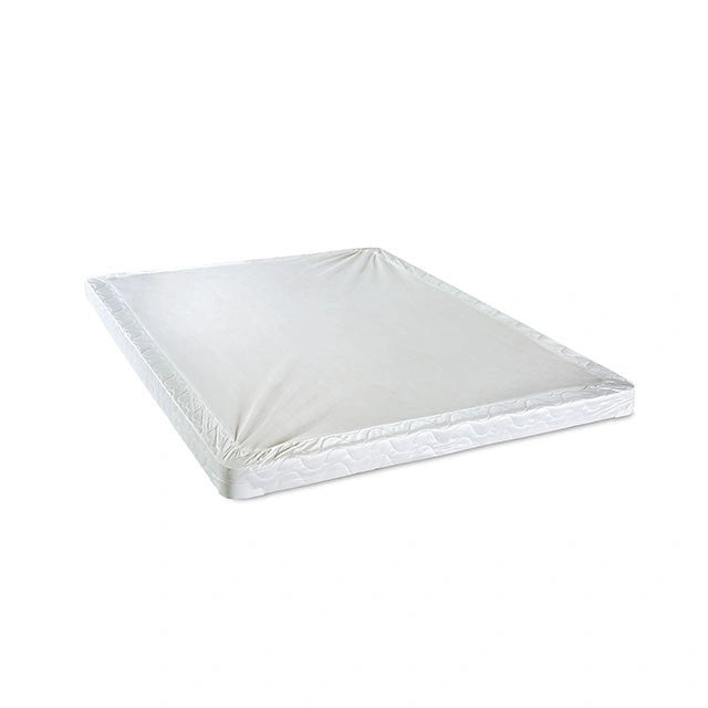 Bird Of Paradise 7" Foundation - Foundation | Las Vegas Furniture Online - View 2