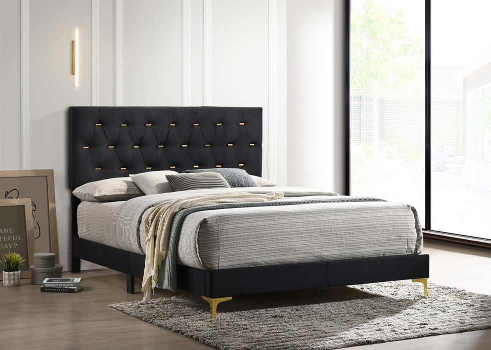 Kendall Panel Bed Black