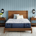 Serta Perfect Sleeper Pro Hampton Extra Firm Mattress