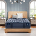 Serta Perfect Sleeper Pro New Paris Medium Mattress