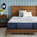 Serta Perfect Sleeper Pro Hampton Extra Firm Mattress