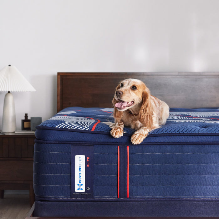 Sealy Posturepedic Elite Spring Albany II 15" Soft Euro Pillowtop Mattress