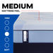 Sealy Posturepedic Plus Paterson II 13" Medium Hybrid Tight Top Mattress