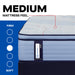 Sealy Posturepedic Plus Spring Paterson II 15" Medium Euro Pillowtop Mattress