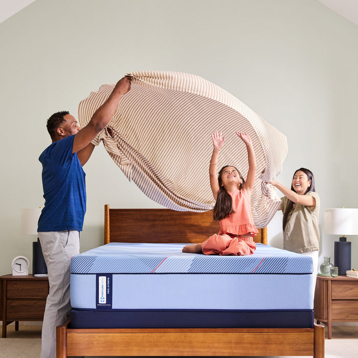 Sealy Posturepedic Pro Hybrid Dupont II 13" Firm Tight Top Mattress