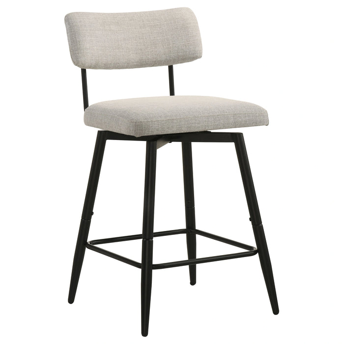 Levine Counter Stool of 2