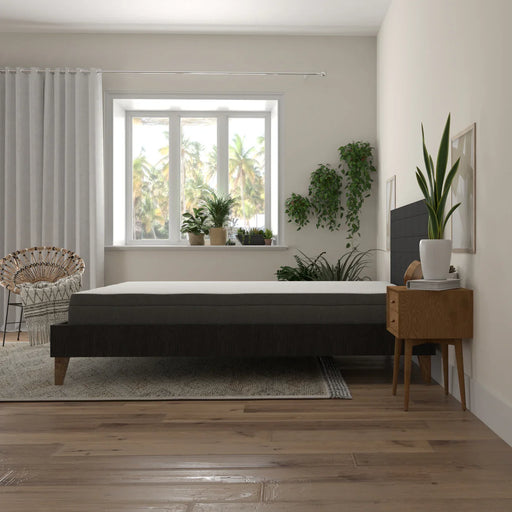 Bedplanet 8" Daisy Firm Mattress