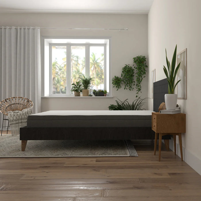 Bedplanet 8" Daisy Firm Mattress