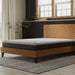 Bedplanet 8” Essentials Comfort Reactive Medium Firm Mattress