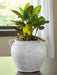 Meadie Vase - LasVegasFurnitureOnline.com