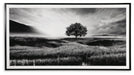 Deborland Wall Art - LasVegasFurnitureOnline.com