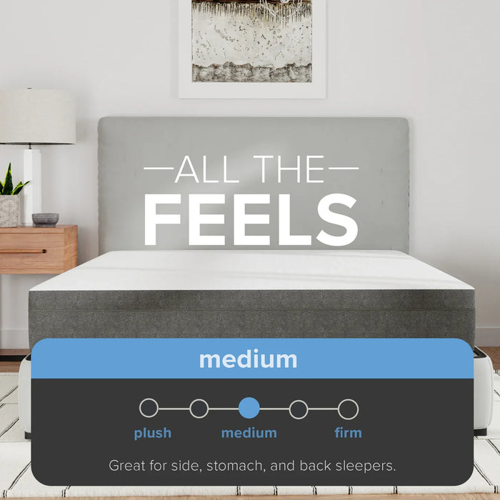 Bedplanet 10" Rose Medium Mattress