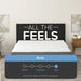 Bedplanet 8" Daisy Firm Mattress