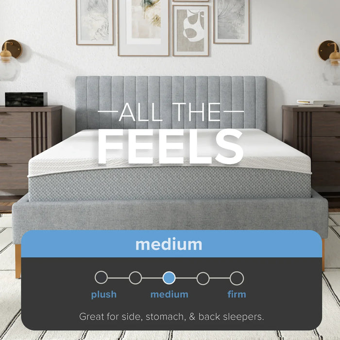 Bedplanet 10” EcoCore Hybrid Premium Medium Firm Mattress