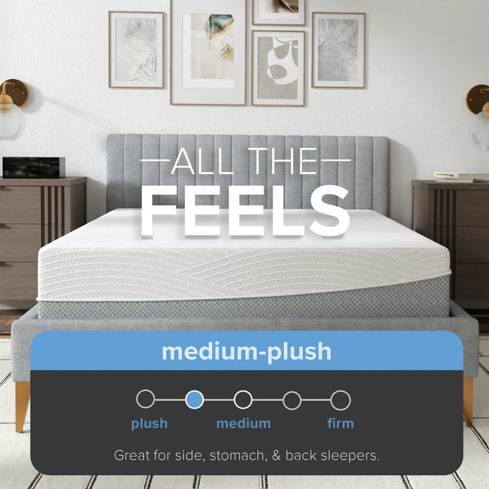 Bedplanet 12” EcoCore Hybrid Deluxe Medium Plush Mattress