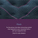 Beautyrest World Class Level Three Plush Mattress