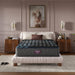 Beautyrest World Class Level Four Medium Mattress