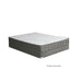 EDREA White/Gray 10" Tight Top Pocket Coil, Queen - LasVegasFurnitureOnline.com