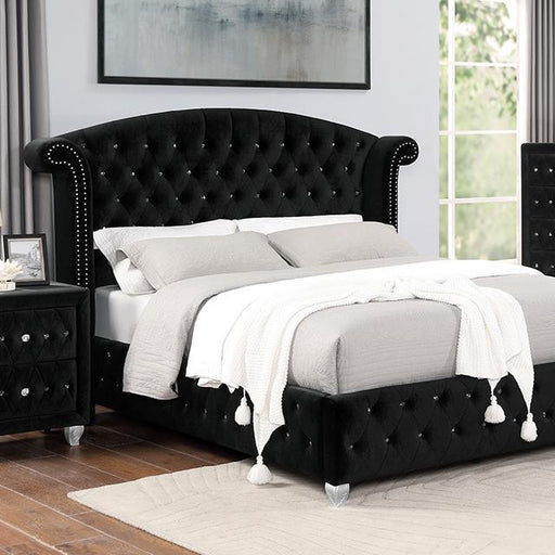 ZOHAR Queen Bed, Black image