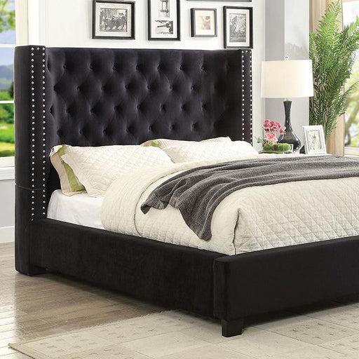 CARLEY Queen Bed, Black image