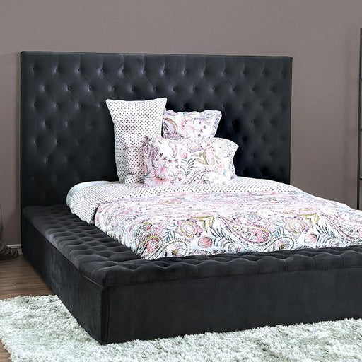GOLATI Queen Bed, Black image
