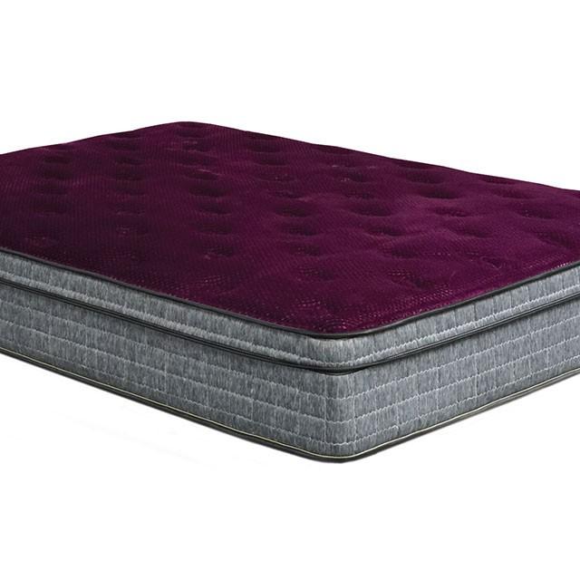 Minnetonka Purple 13" Euro Pillow Top Mattress, Queen image
