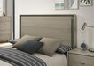 Rainier Queen Bedroom Set Gray - LasVegasFurnitureOnline.com