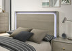 Rainier Queen Bedroom Set Gray - LasVegasFurnitureOnline.com