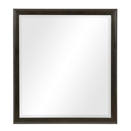 Hodgin Mirror - LasVegasFurnitureOnline.com
