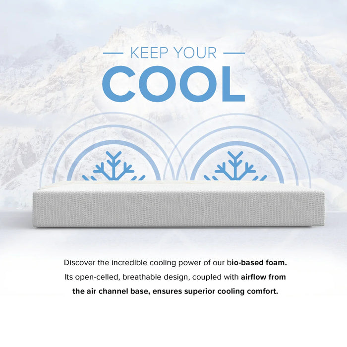 Bedplanet 10” EcoCore Origin Medium Firm Mattress
