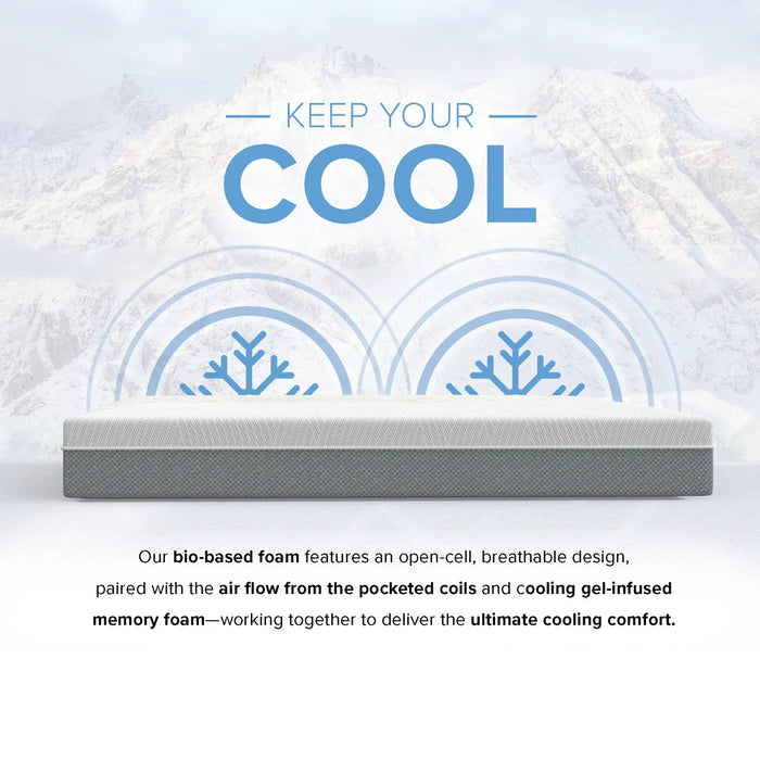 Bedplanet 10” EcoCore Hybrid Premium Medium Firm Mattress