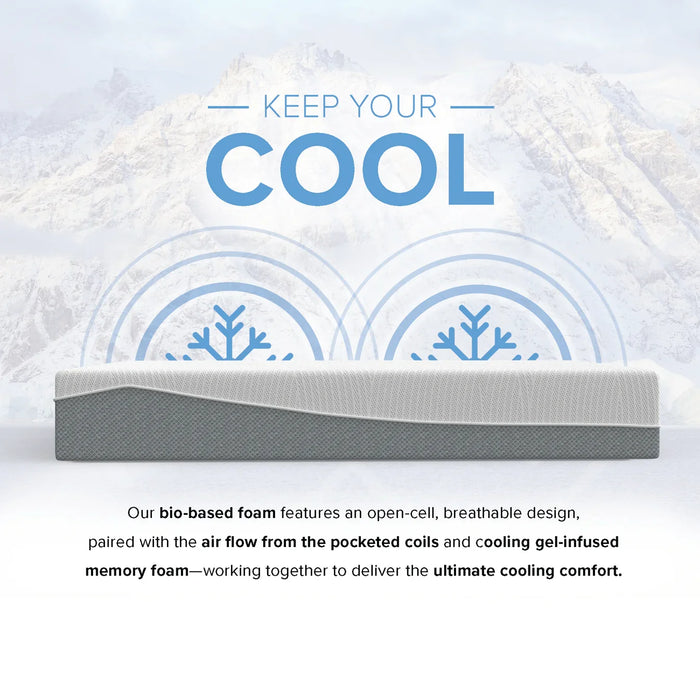 Bedplanet 12” EcoCore Hybrid Deluxe Medium Plush Mattress