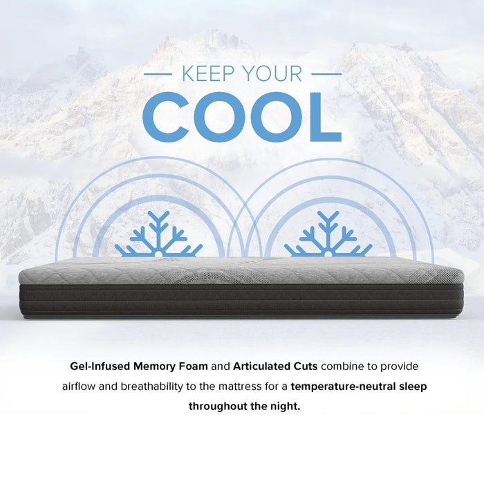 Bedplanet 8” Essentials Comfort Reactive Medium Firm Mattress