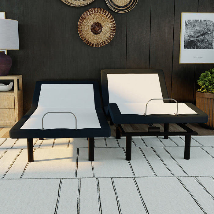 Bedplanet Model D Adjustable Bed