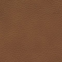 Magic Man 5-Piece Power Reclining Sectional - LasVegasFurnitureOnline.com