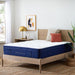 Weekender 13" Euro Top Hybrid Mattress
