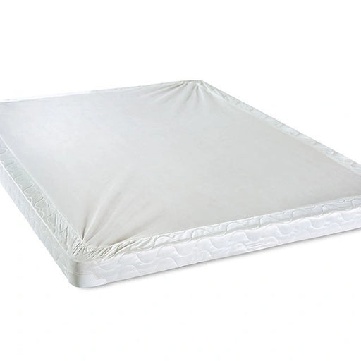 Bird Of Paradise 7" Foundation - Foundation | Las Vegas Furniture Online