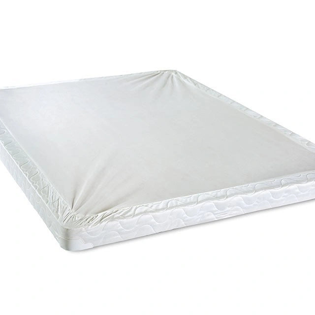 Bird Of Paradise 7" Foundation - Foundation | Las Vegas Furniture Online