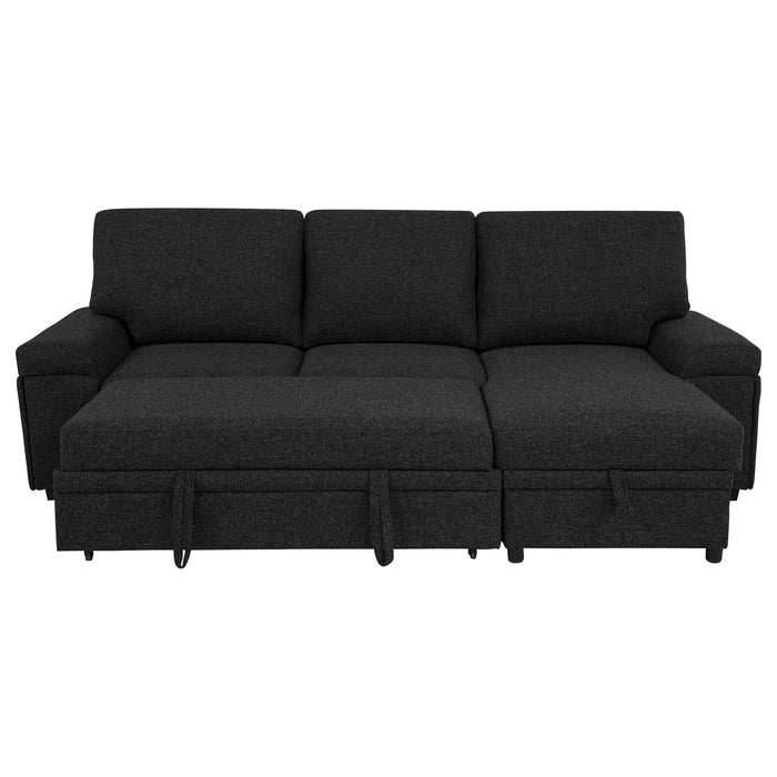 Demko Sleeper Sectional Sofa