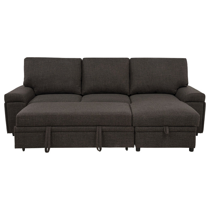 Demko Sleeper Sectional Sofa