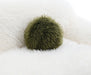 Darwen Sofa - LasVegasFurnitureOnline.com